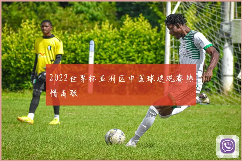 2022世界杯亚洲区中国球迷观赛热情高涨