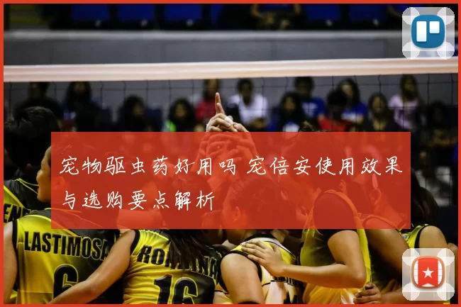 宠物驱虫药好用吗 宠倍安使用效果与选购要点解析