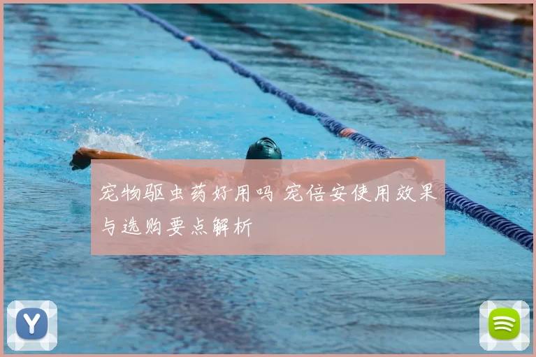 宠物驱虫药好用吗 宠倍安使用效果与选购要点解析