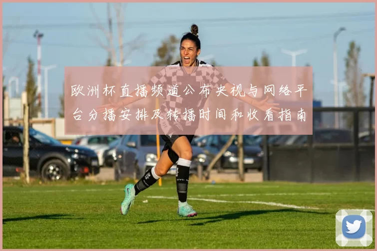 欧洲杯直播频道公布央视与网络平台分播安排及转播时间和收看指南