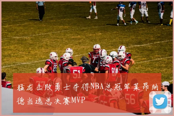 猛龙击败勇士夺得NBA总冠军莱昂纳德当选总决赛MVP