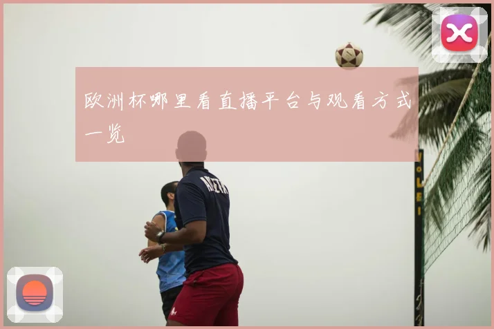 欧洲杯哪里看直播平台与观看方式一览