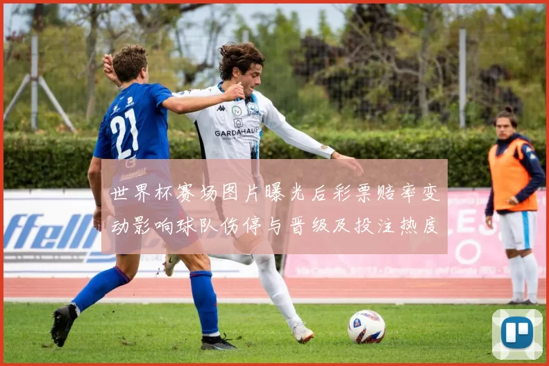 世界杯赛场图片曝光后彩票赔率变动影响球队伤停与晋级及投注热度